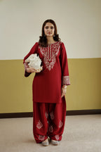 Gulnaar 2pc embroidered